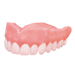 Top b Dentures model