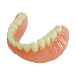bottom a dentures model