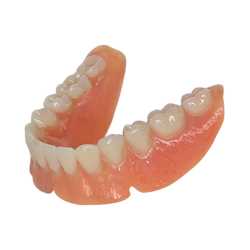 bottom c premium dentures model